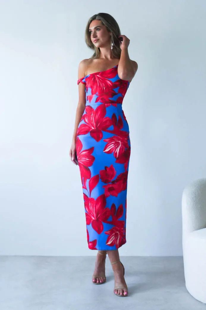 Elliot Floral Print Midi Dress | Blue/Red